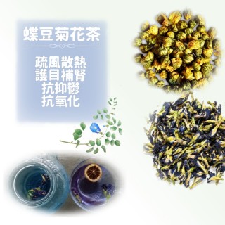 清熱護目《蝶豆菊花茶》