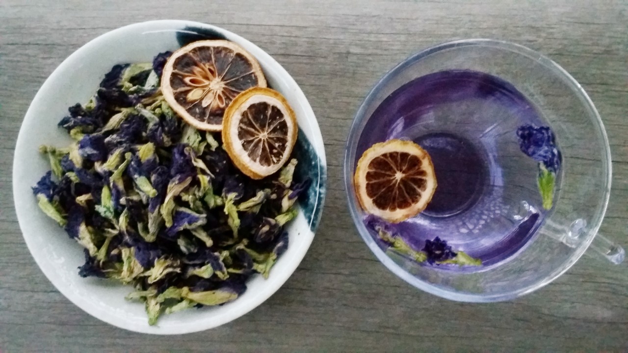 泰國蝶豆花