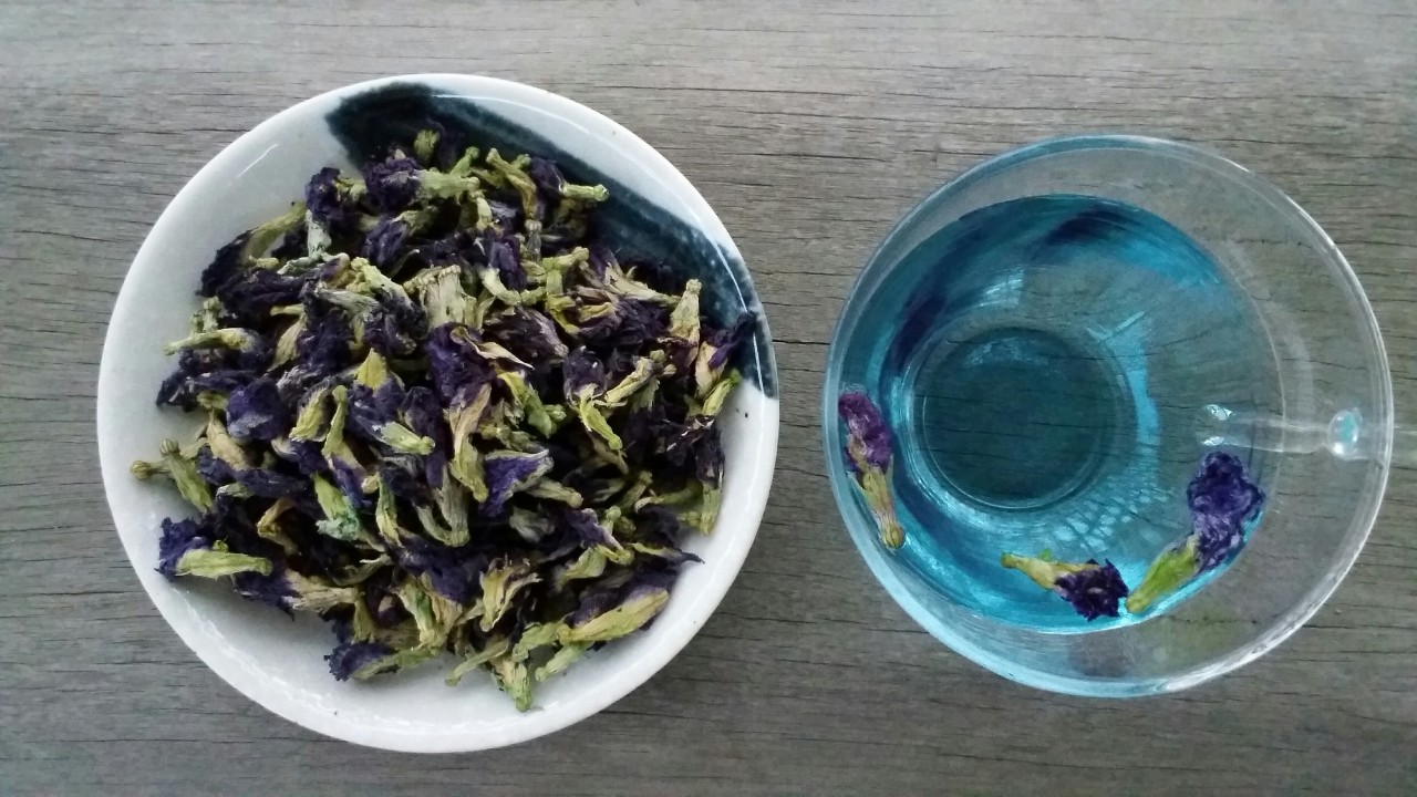 泰國蝶豆花